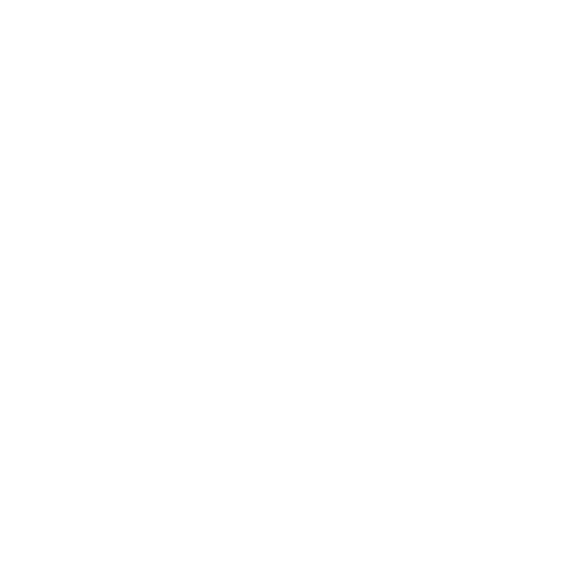 handicapé